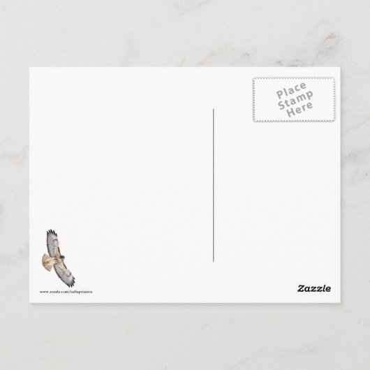 Red Tailing Hawk Postkarte (Rückseite)