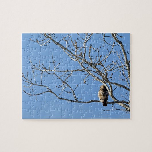 Red Tailing Hawk Puzzle (Horizontal)