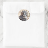 Red Tailing Hawk Runder Aufkleber (Tasche)