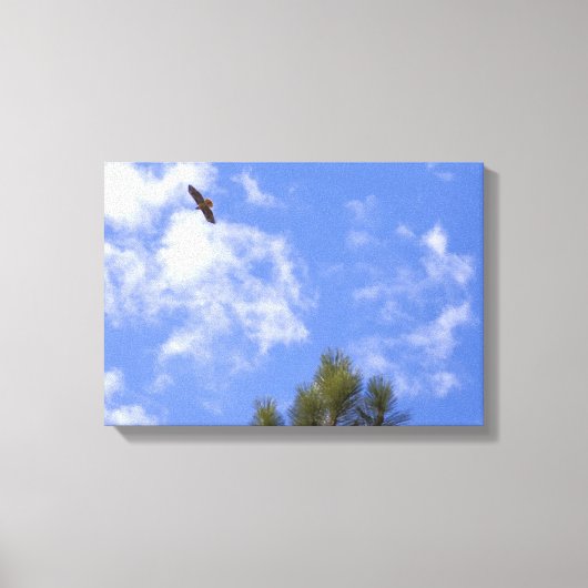 Red Tailing Hawk Wrapped Canvas Leinwanddruck (Vorderseite)