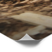 Red Tails Boa Poster (Ecke)