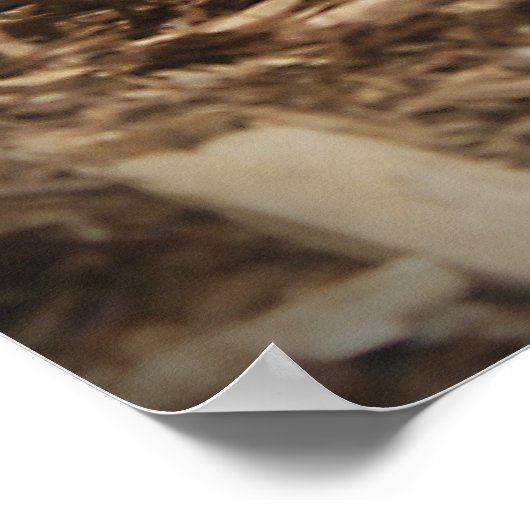 Red Tails Boa Poster (Ecke)