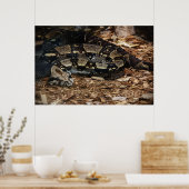 Red Tails Boa Poster (Küche)