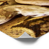 Red Tails Boas Poster (Ecke)