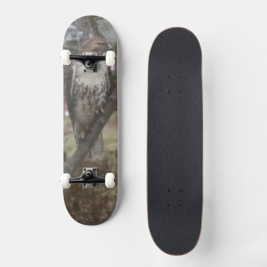 Red-tails-Falken auf der Skateboard - Wählen Sie I (Vorderseite)