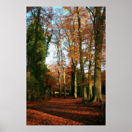Red Teppich Leinwand & Poster Print (Vorne)