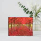 Red Teppich und Sky Postkarte (Stehend Vorderseite)