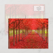 Red Teppich und Sky Postkarte (Vorne/Hinten)