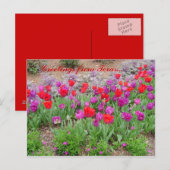 RED TeXaS Grüße Postkarte (Vorne/Hinten)