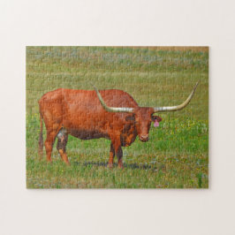 Red Texas Longhorn Kuh in Pasta Puzzle
