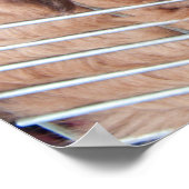 Red Tibetan Mastiff Poster (Ecke)