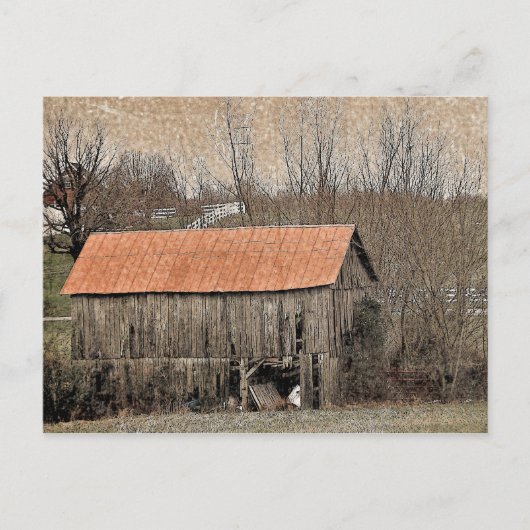 Red Tin Roof Postkarte (Vorderseite)