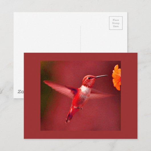 Red Toned Hummingbird Postkarte (Vorne/Hinten)
