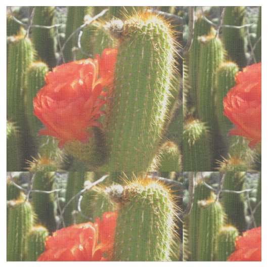 Red Torch Cactus Stoff (Nahaufnahme)