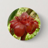 Red Torch Ginger Tropical Flower Fotografie Button (Vorderseite)