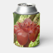 Red Torch Ginger Tropical Flower Fotografie Dosenkühler (Kanne Rückseite)