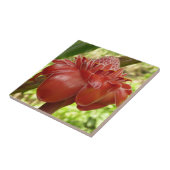 Red Torch Ginger Tropical Flower Fotografie Fliese (Seite)