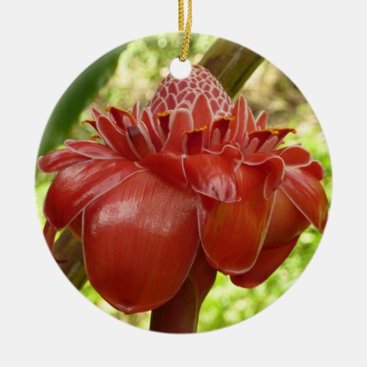 Red Torch Ginger Tropical Flower Fotografie Keramikornament (Vorne)