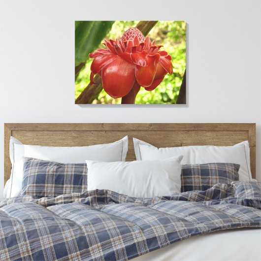 Red Torch Ginger Tropical Flower Fotografie Leinwanddruck (Insitu (Schlafzimmer))