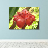 Red Torch Ginger Tropical Flower Fotografie Leinwanddruck (Insitu (Holzboden))
