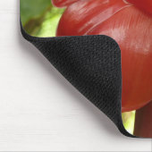 Red Torch Ginger Tropical Flower Fotografie Mousepad (Ecke)