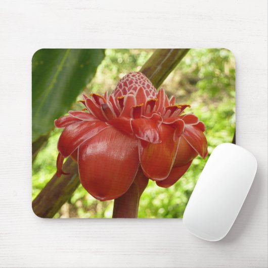 Red Torch Ginger Tropical Flower Fotografie Mousepad (Mit Mouse)