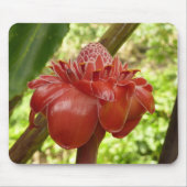 Red Torch Ginger Tropical Flower Fotografie Mousepad (Vorne)