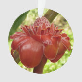Red Torch Ginger Tropical Flower Fotografie Ornament (Vorderseite)