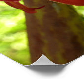 Red Torch Ginger Tropical Flower Fotografie Poster (Ecke)