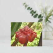 Red Torch Ginger Tropical Flower Fotografie Postkarte (Stehend Vorderseite)