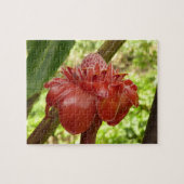 Red Torch Ginger Tropical Flower Fotografie Puzzle (Horizontal)