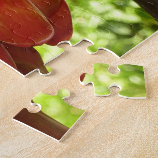Red Torch Ginger Tropical Flower Fotografie Puzzle (Seite)