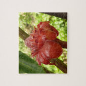 Red Torch Ginger Tropical Flower Fotografie Puzzle (Vertikal)