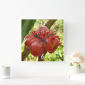 Red Torch Ginger Tropical Flower Fotografie Quadratische Wanduhr (Zuhause)