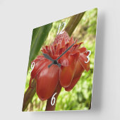 Red Torch Ginger Tropical Flower Fotografie Quadratische Wanduhr (Winkel)