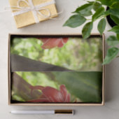 Red Torch Ginger Tropical Flower Fotografie Seidenpapier (Geschenk)