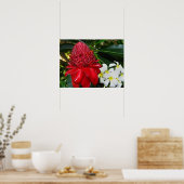 Red Torch Ginger White Plumaria Blume Poster (Küche)