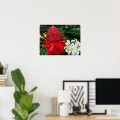 Red Torch Ginger White Plumaria Blume Poster (Heimbüro)