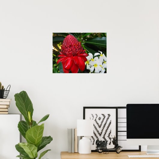 Red Torch Ginger White Plumaria Blume Poster (Heimbüro)