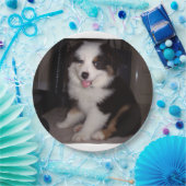 Red tri Puppy mini aussie Pappteller (Party)