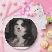 Red tri Puppy mini aussie Pappteller (Party)