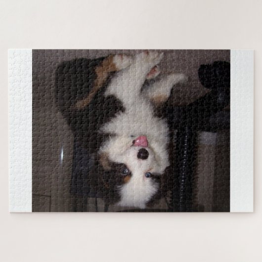 Red tri Puppy mini aussie Puzzle (Horizontal)