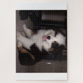 Red tri Puppy mini aussie Puzzle (Vertikal)
