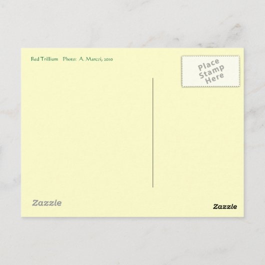 Red Trillium Blume Postkarte (Rückseite)