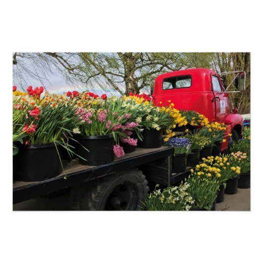 Red Truck mit Frühlingsblumen & Regenbogen Poster (Vorderseite)