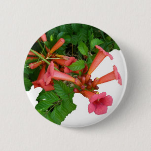 Red Trumpet Vine Button