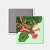 Red Trumpet Vine Magnet (Vorderseite/Rückseite)