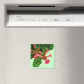 Red Trumpet Vine Magnet (In Situ (Geschirrspüler))