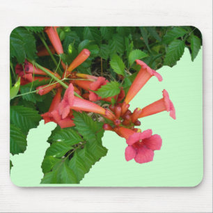 Red Trumpet Vine Mousepad