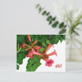 Red Trumpet Vine Postkarte (Stehend Vorderseite)